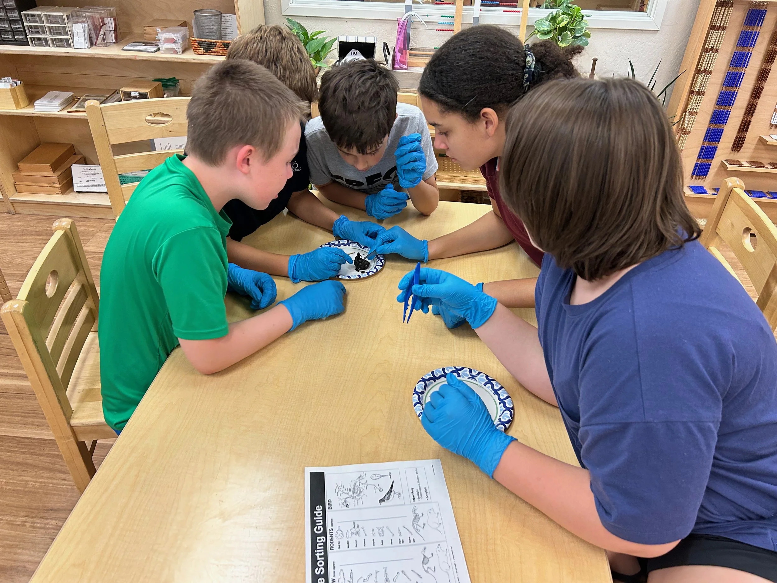 RR Nov 2025 - 12.jpeg