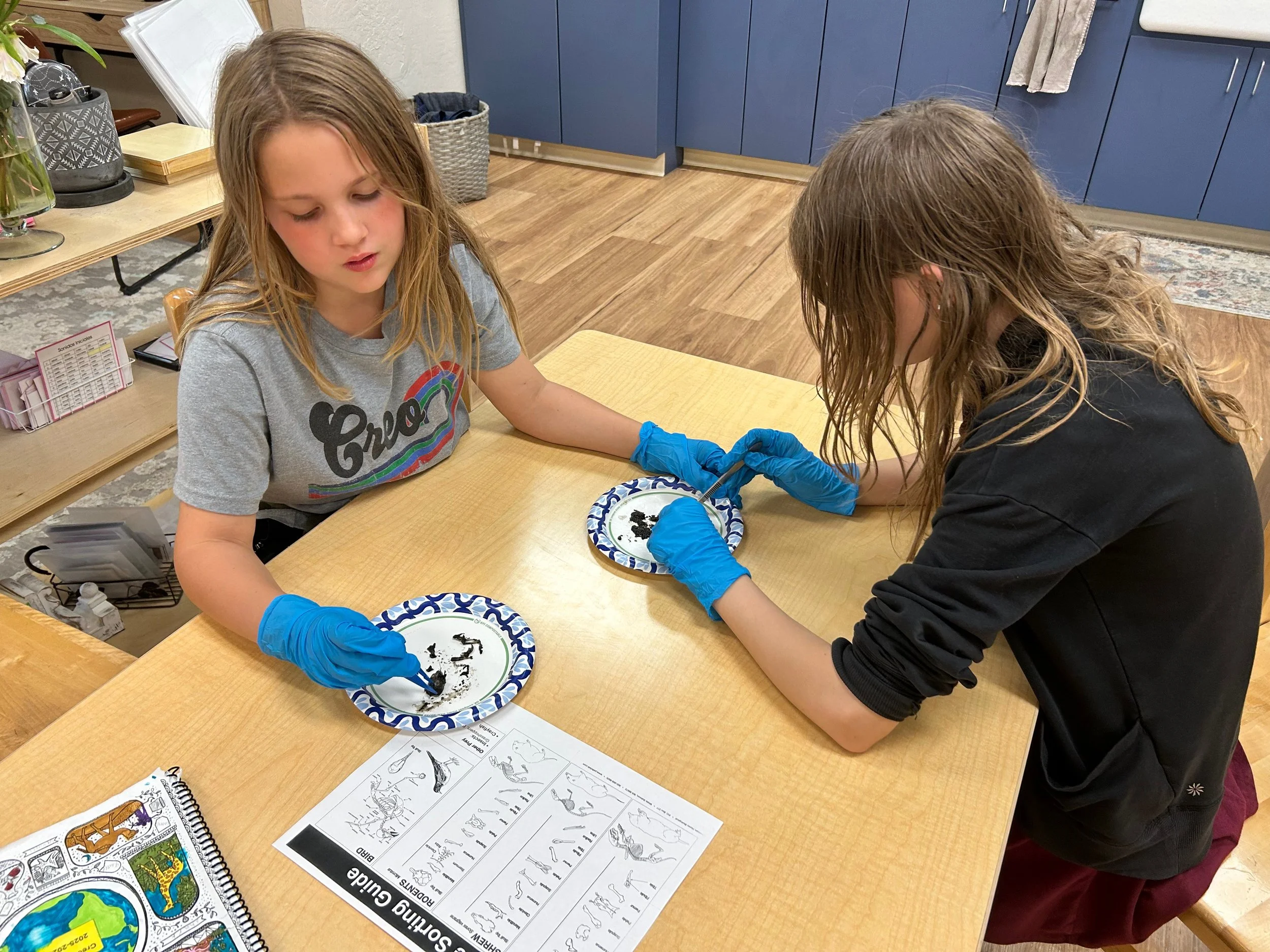 RR Nov 2025 - 13.jpeg