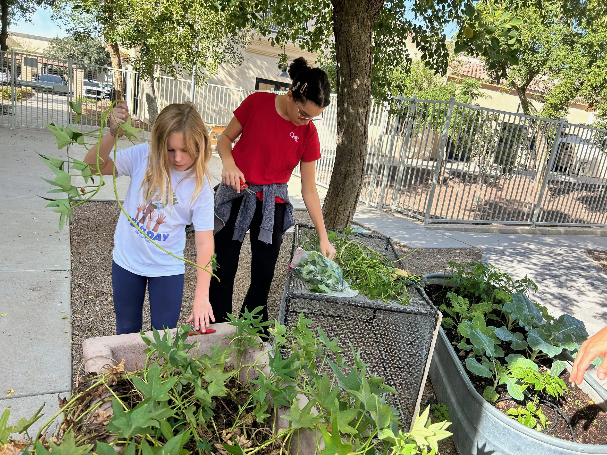 RR Nov 2025 - 17.jpeg