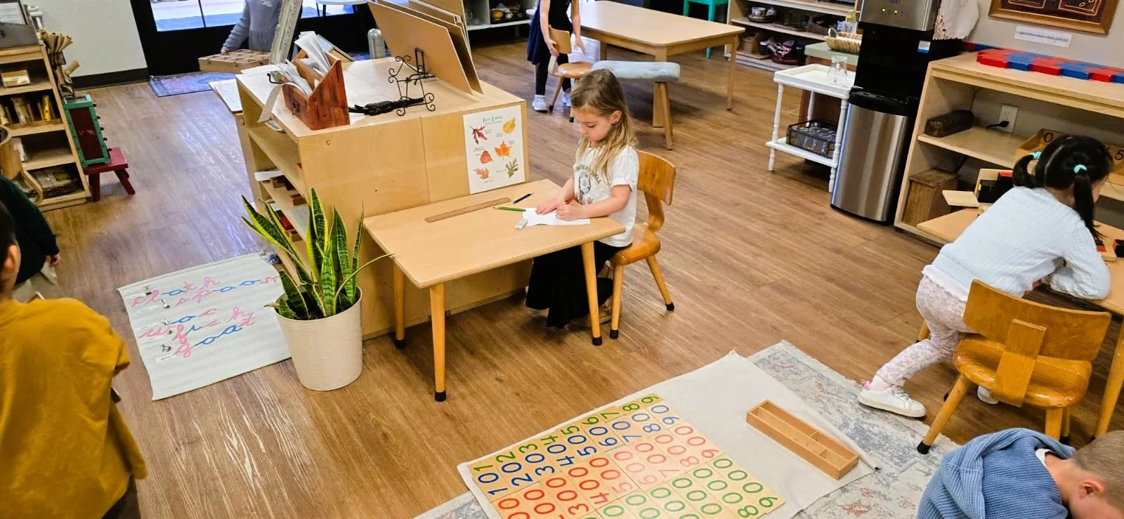 WhatsApp Image 2025-12-13 at 10.53.55 PM.jpeg