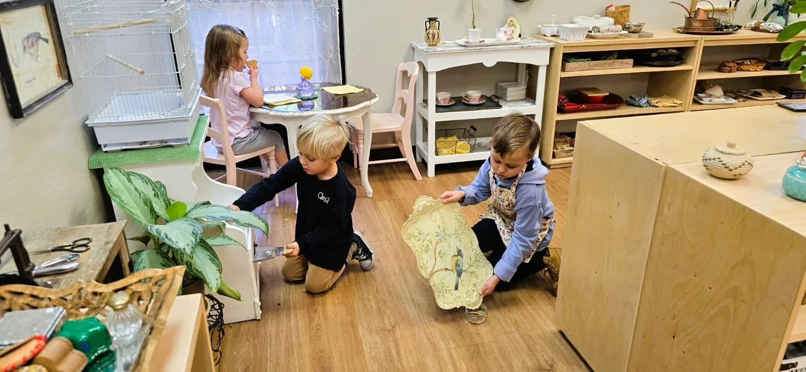 WhatsApp Image 2025-12-13 at 10.54.11 PM (1).jpeg