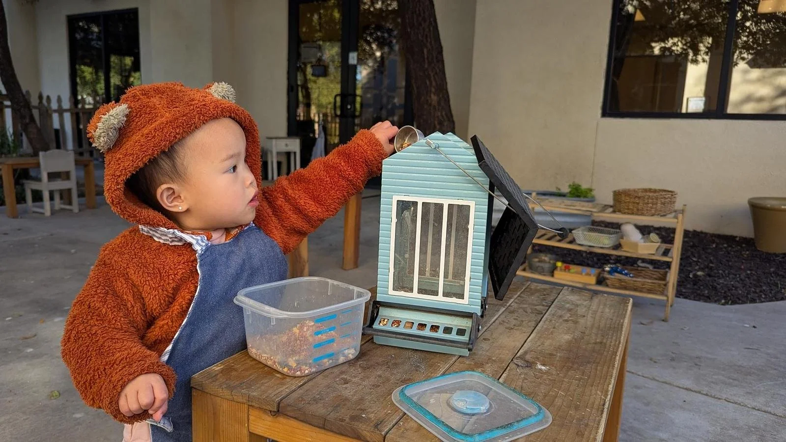 Amelia bird feeder ODE.jpg