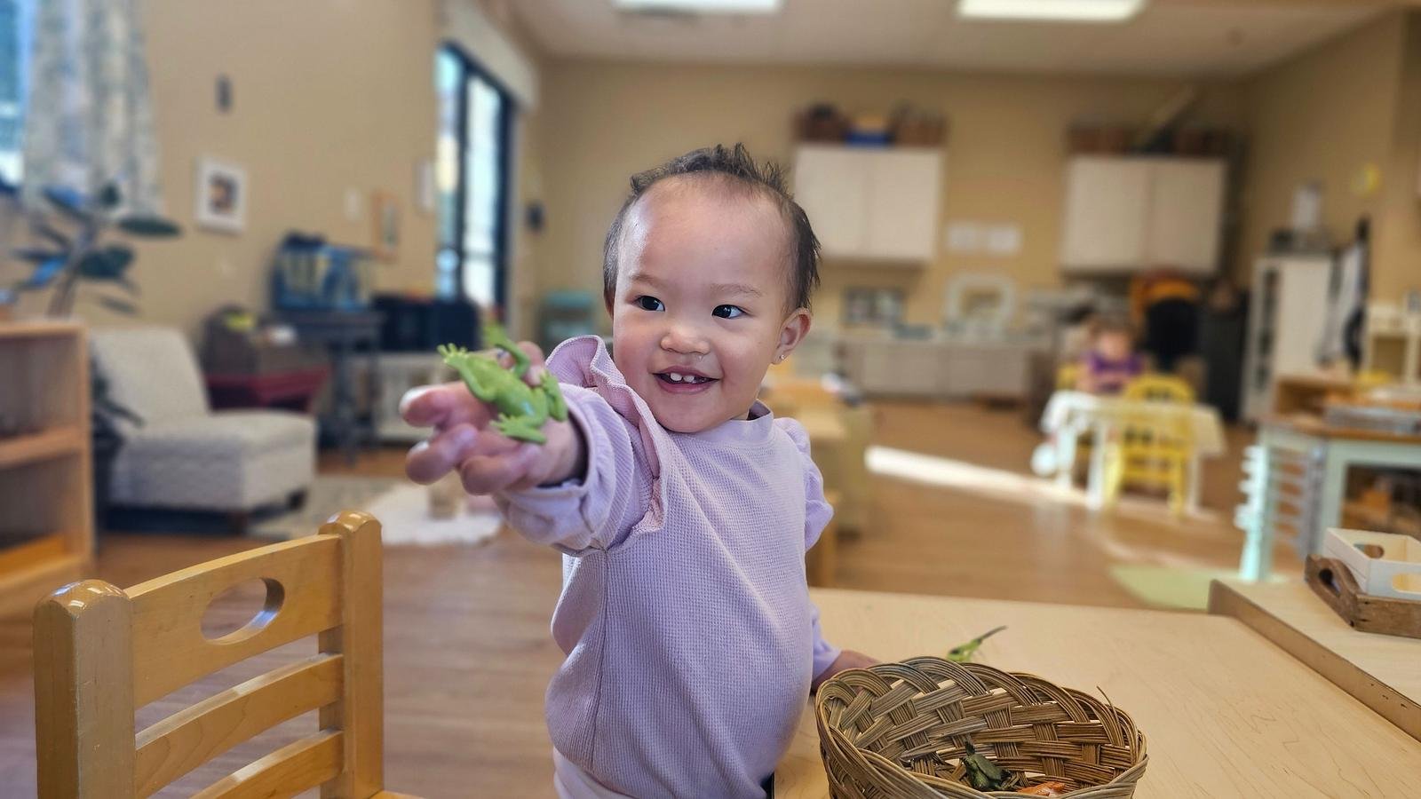 Amelia lang pets.jpg