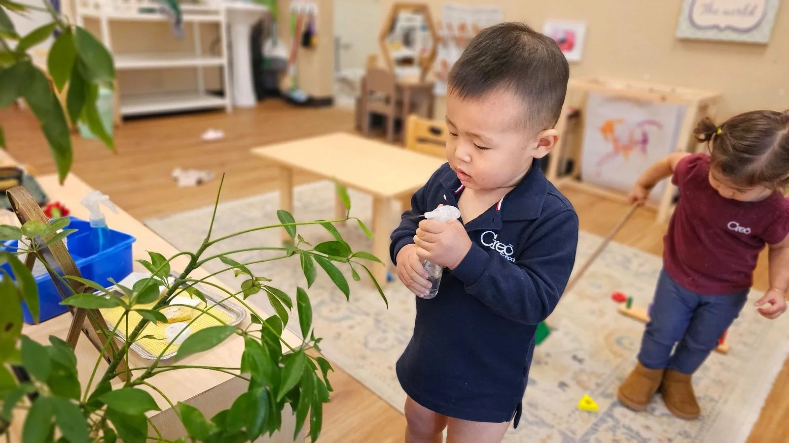 Eddy washing plants.jpg