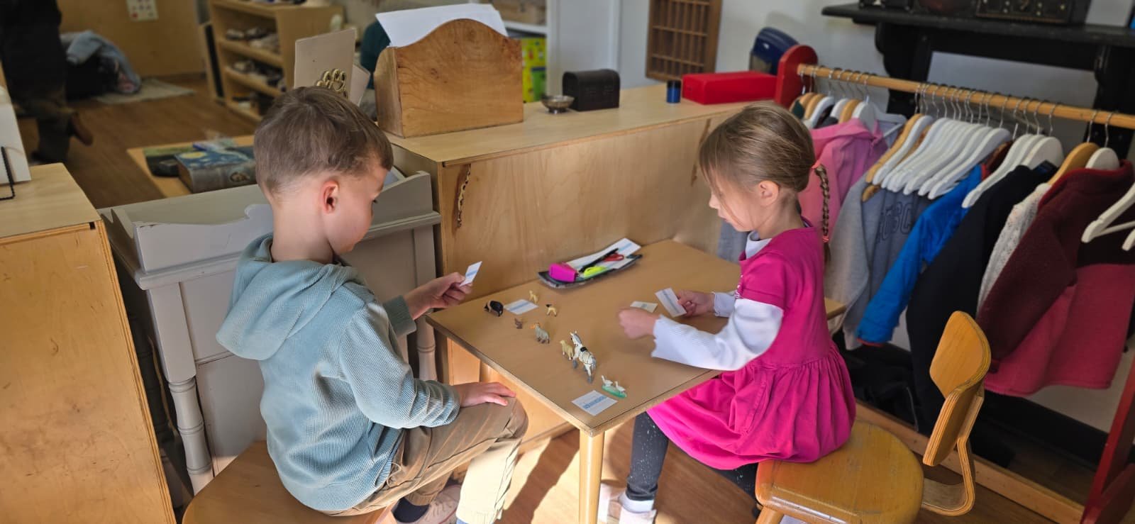 WhatsApp Image 2026-01-22 at 8.31.38 PM.jpeg