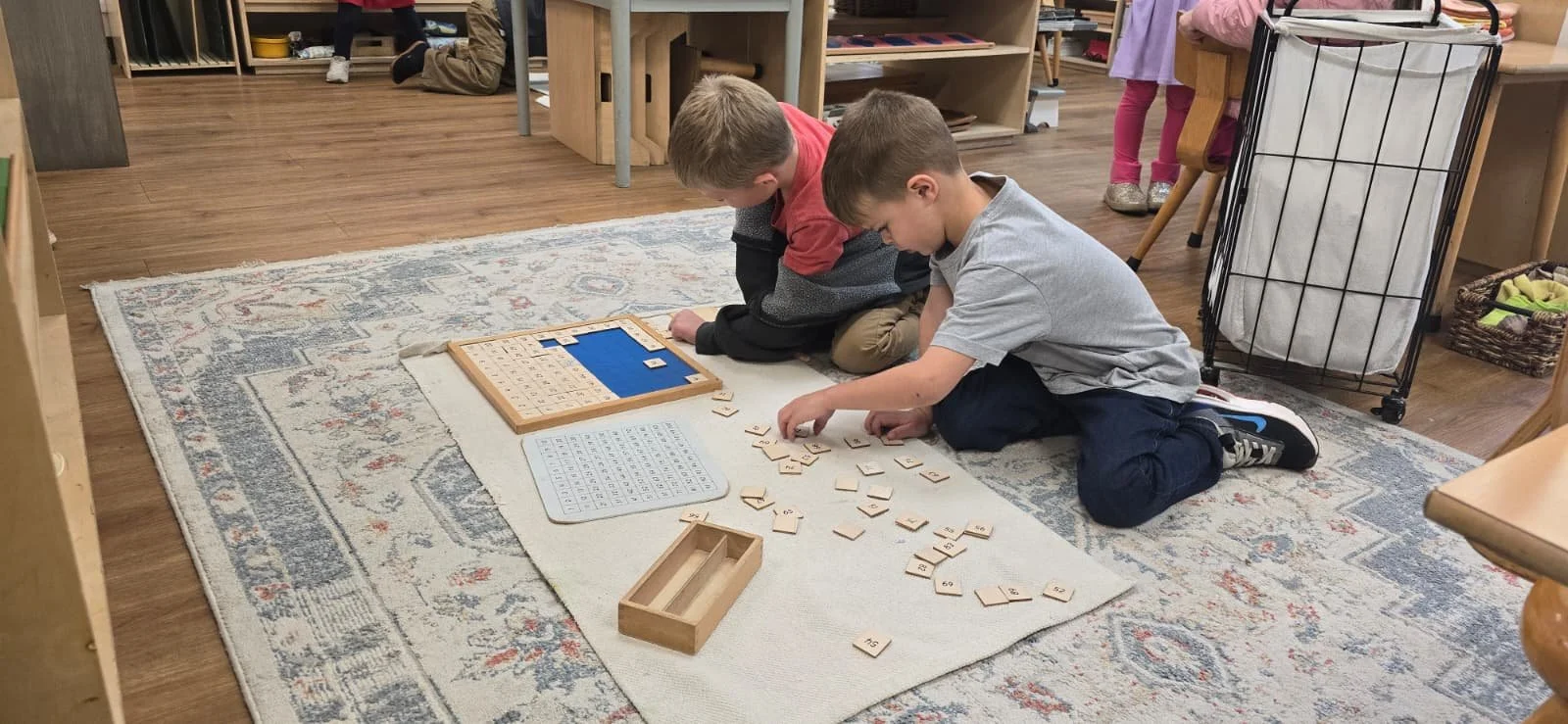 WhatsApp Image 2026-01-22 at 8.31.42 PM.jpeg