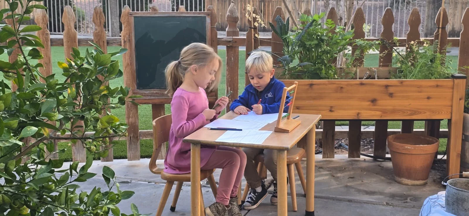 WhatsApp Image 2026-01-22 at 8.31.43 PM.jpeg