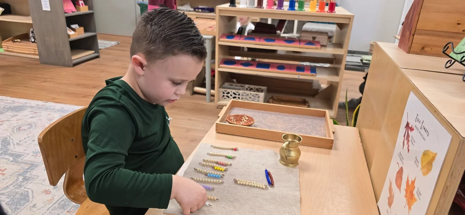 WhatsApp Image 2026-01-22 at 8.31.44 PM.jpeg