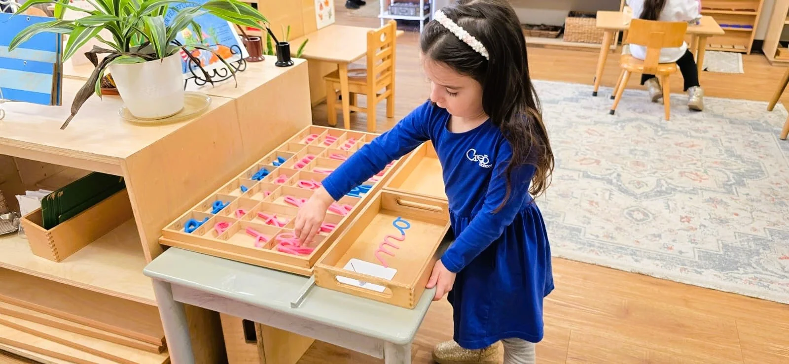 WhatsApp Image 2026-02-20 at 3.54.32 PM.jpeg