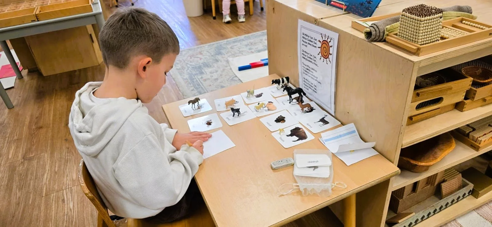 WhatsApp Image 2026-02-20 at 3.54.34 PM.jpeg