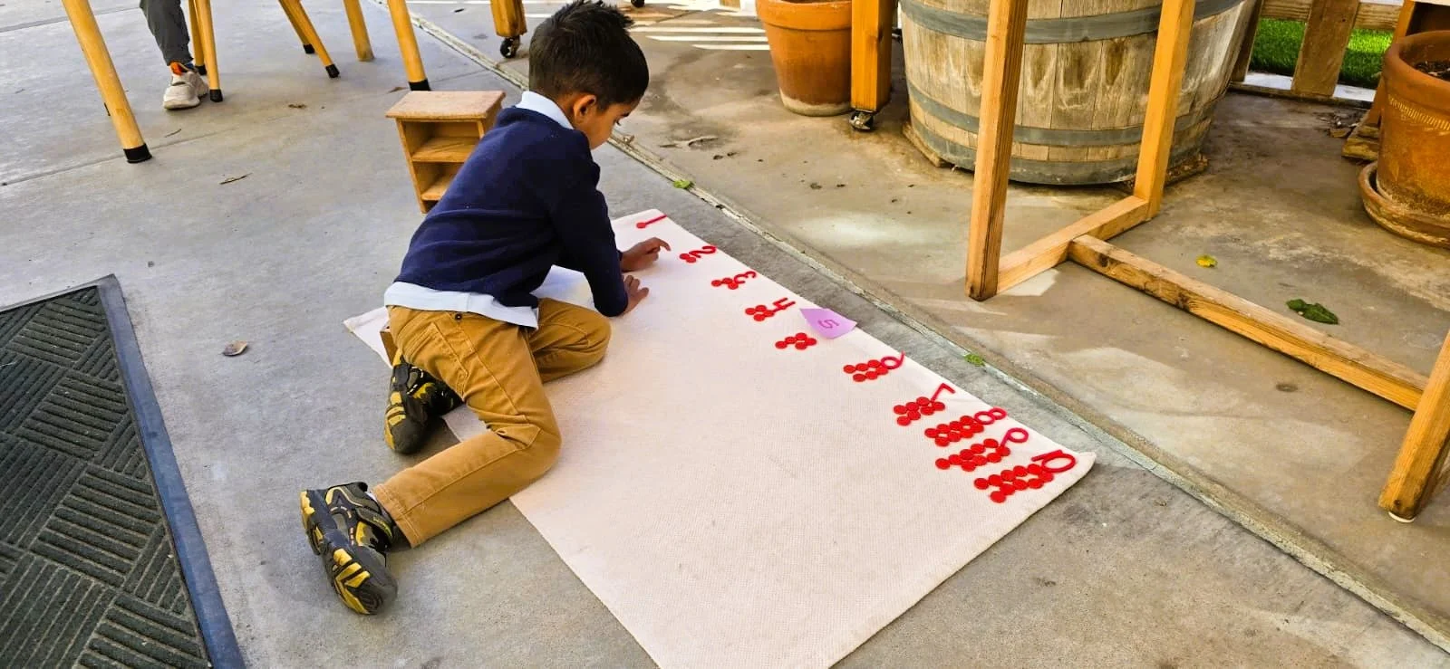 WhatsApp Image 2026-02-20 at 3.55.05 PM (1).jpeg