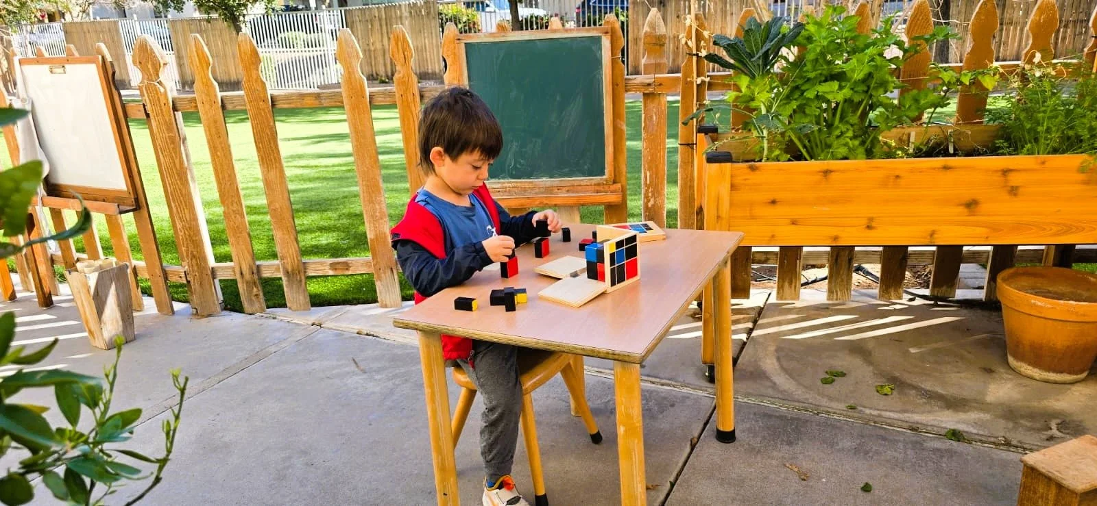 WhatsApp Image 2026-02-20 at 3.55.05 PM.jpeg