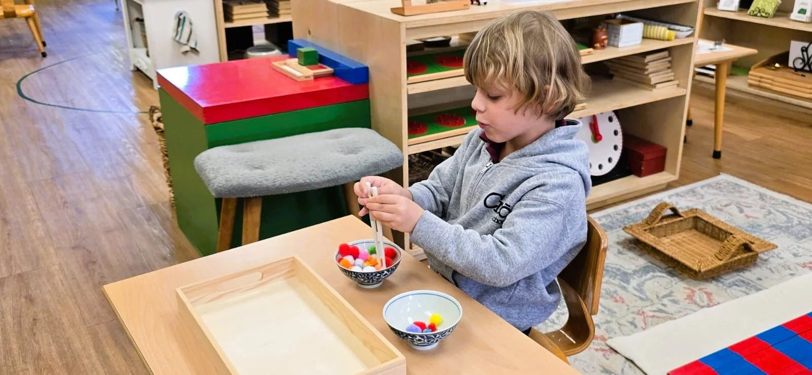 WhatsApp Image 2026-02-20 at 3.55.06 PM (2).jpeg