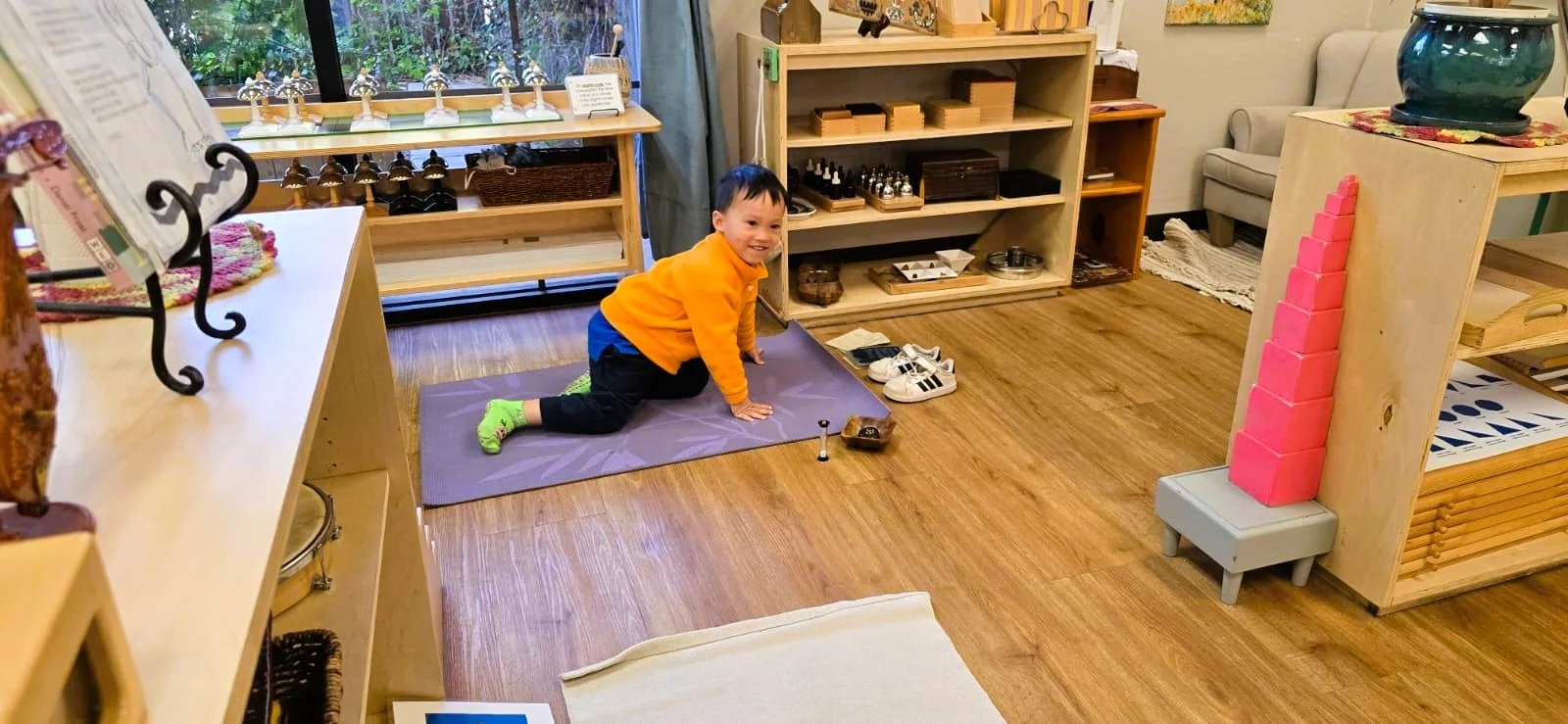 WhatsApp Image 2026-02-20 at 3.55.06 PM.jpeg