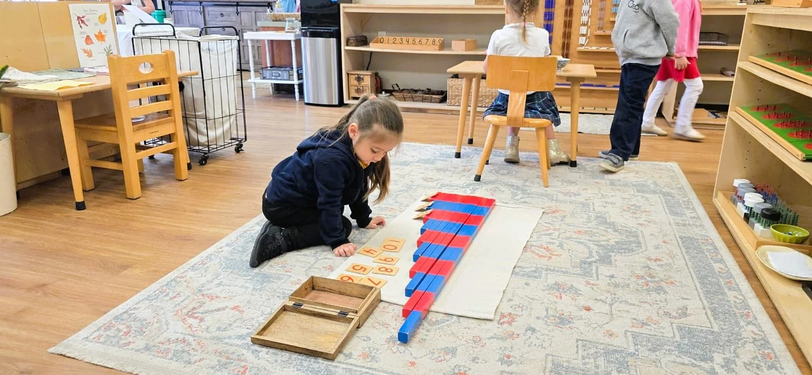 WhatsApp Image 2026-02-20 at 3.55.07 PM (1).jpeg