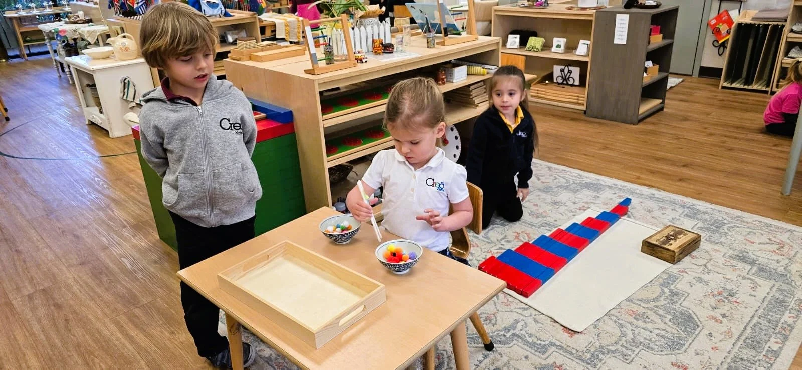 WhatsApp Image 2026-02-20 at 3.55.07 PM (3).jpeg