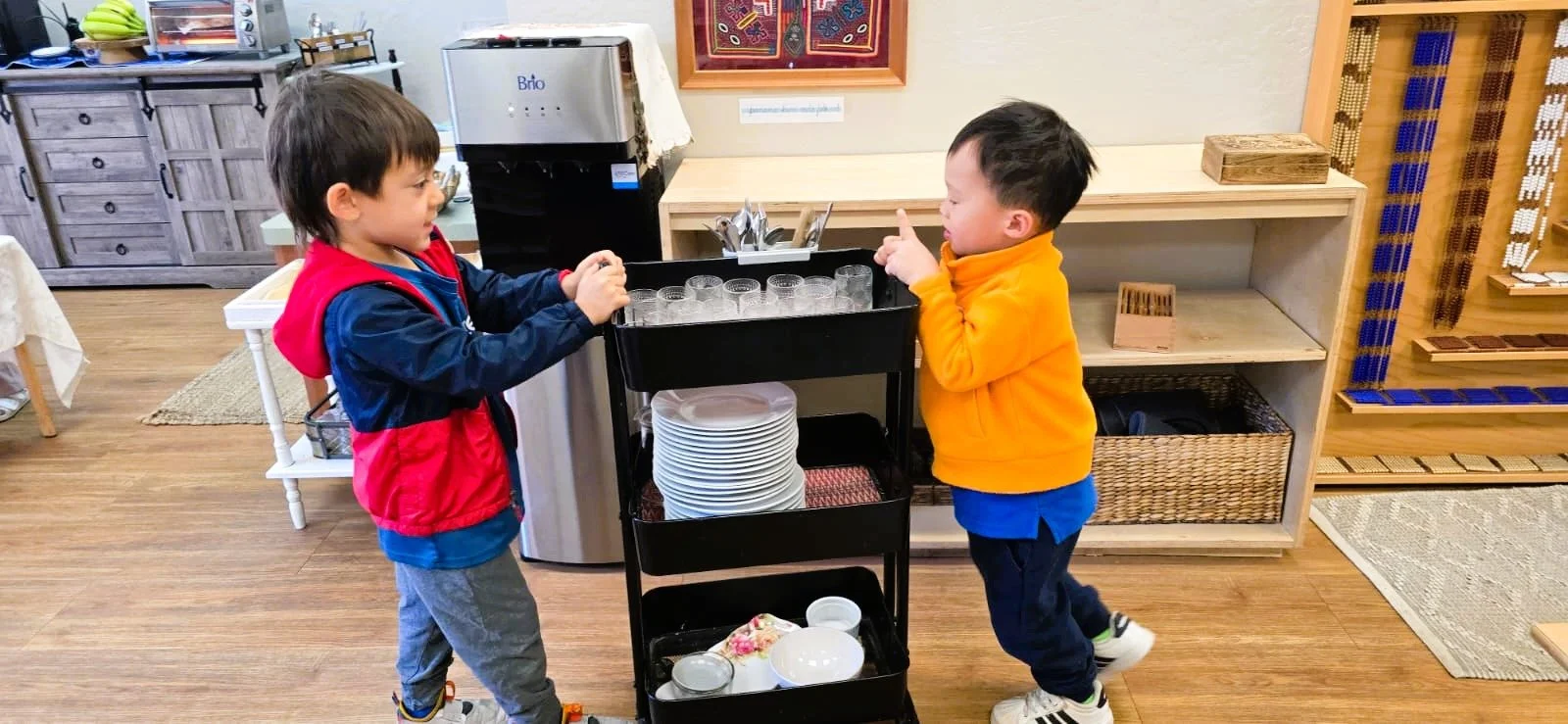 WhatsApp Image 2026-02-20 at 3.55.07 PM (4).jpeg