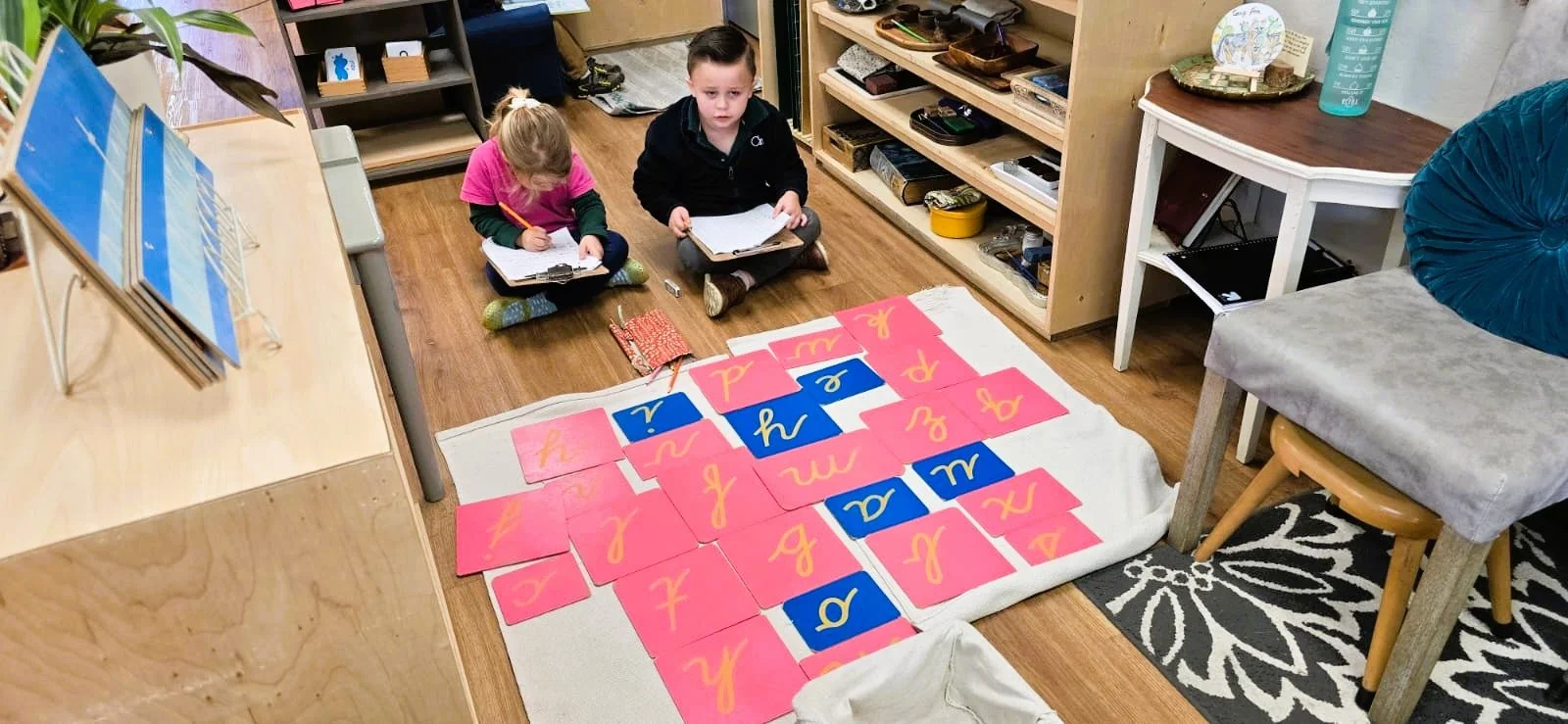 WhatsApp Image 2026-02-20 at 3.55.07 PM (6).jpeg