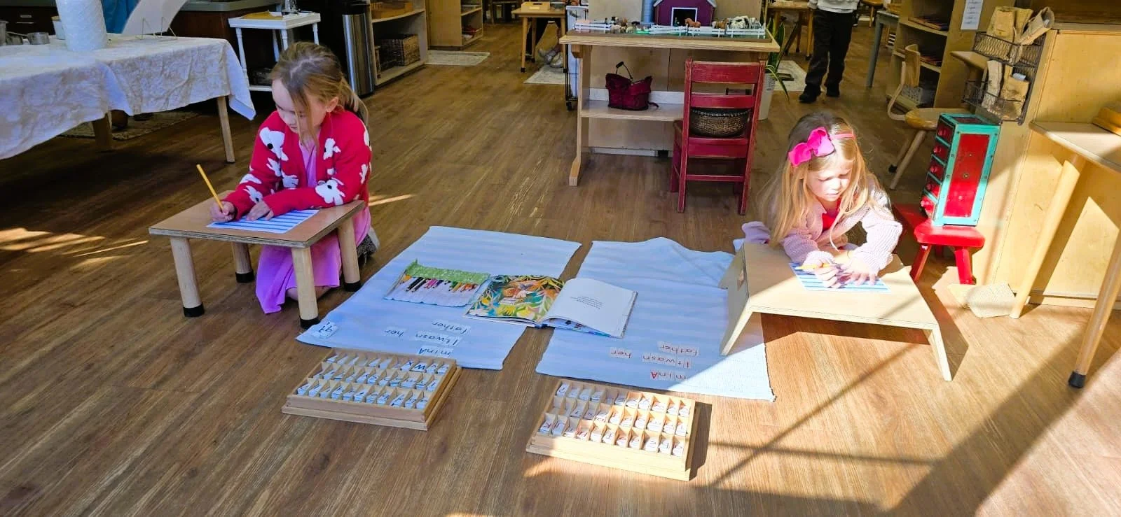 WhatsApp Image 2026-02-20 at 3.55.07 PM.jpeg