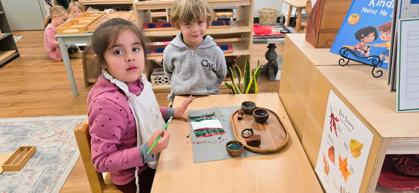 WhatsApp Image 2026-02-20 at 3.55.10 PM (1).jpeg