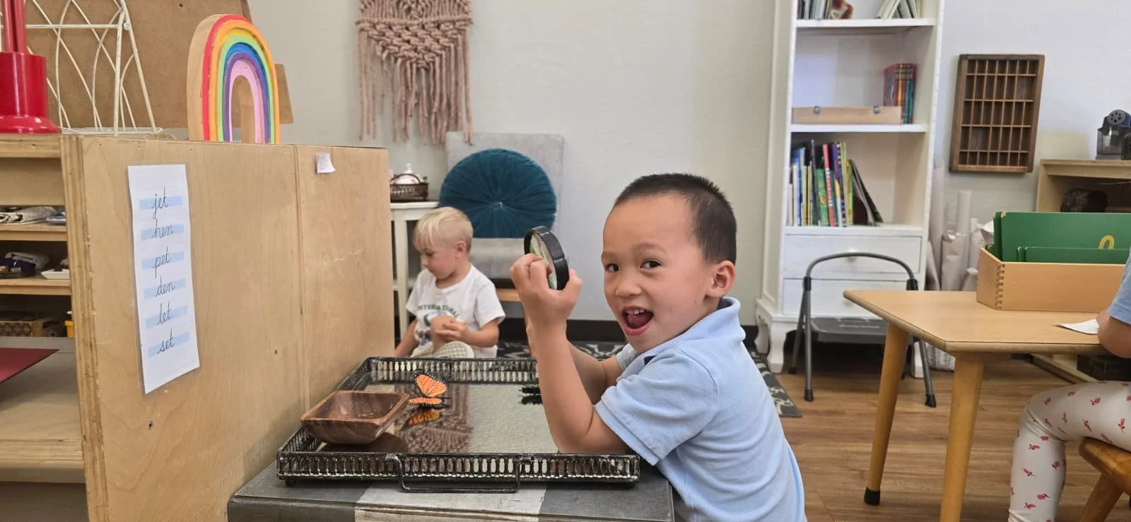 WhatsApp Image 2026-03-20 at 5.21.33 PM.jpeg