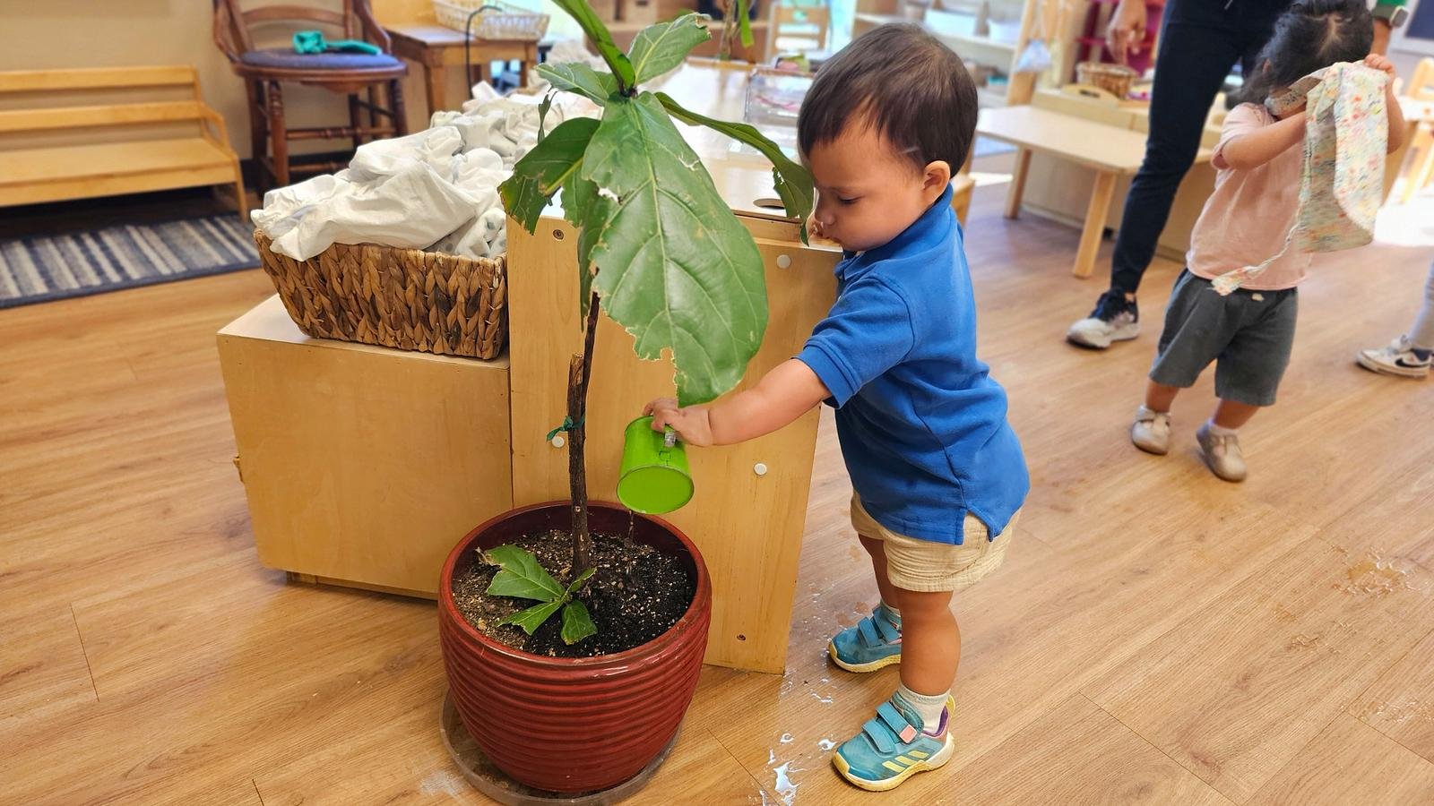 Camden watering plants.jpg