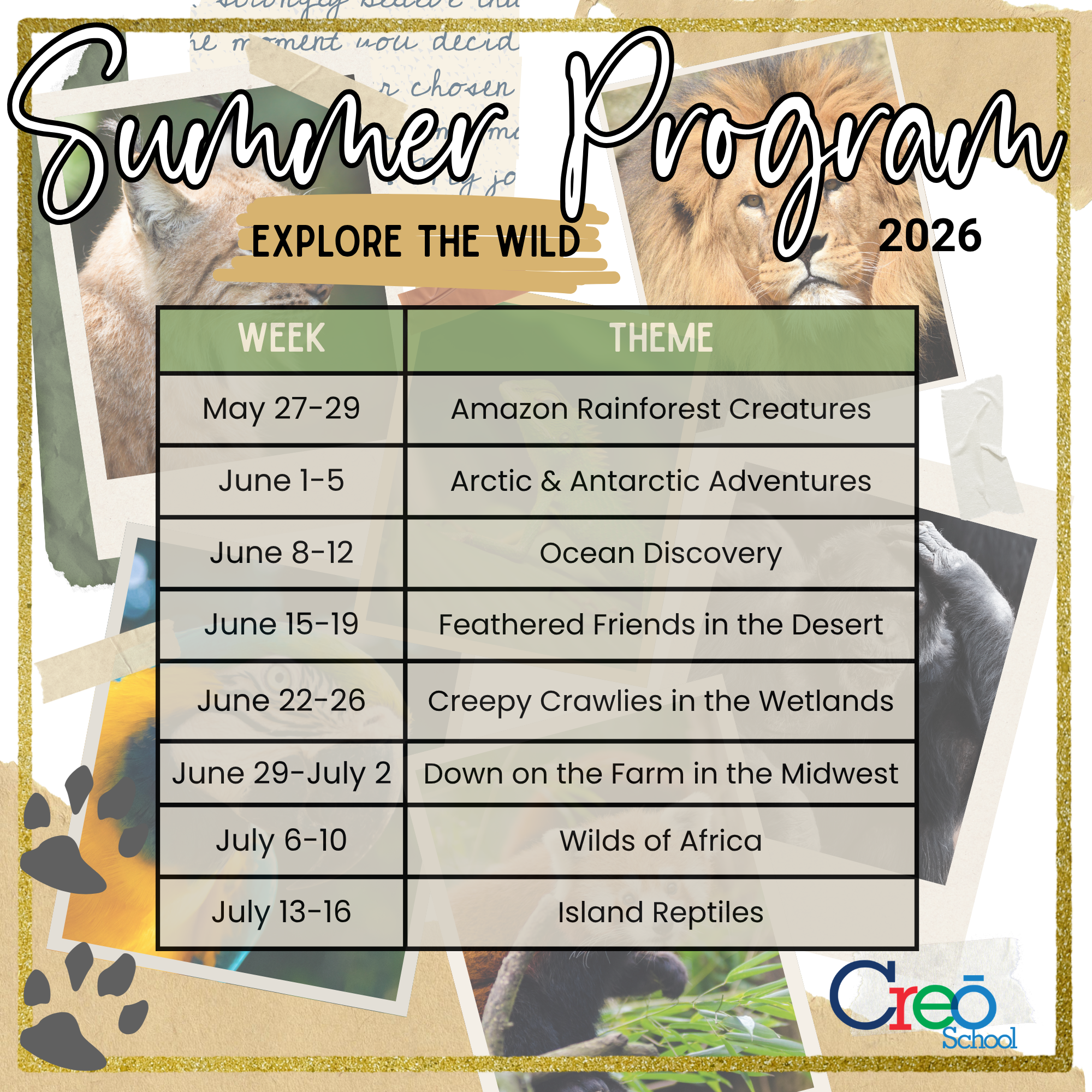 Summer 2026 Flyers  (19).png