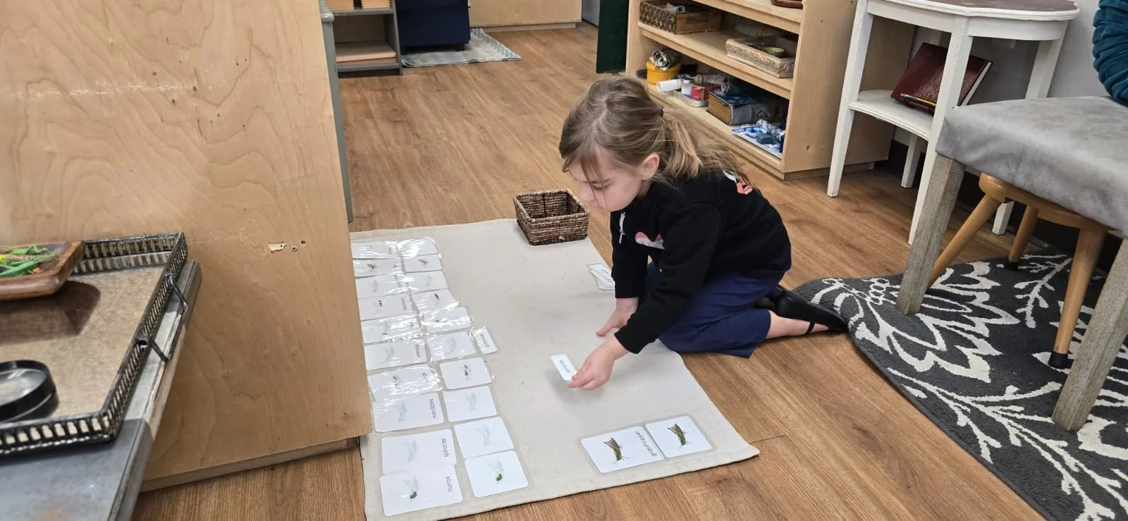 WhatsApp Image 2026-04-23 at 9.24.44 PM.jpeg