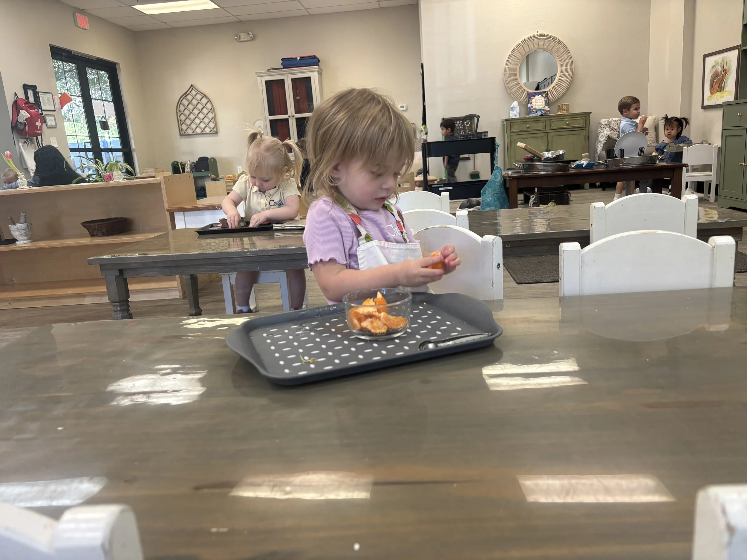 IMG_1231.jpeg