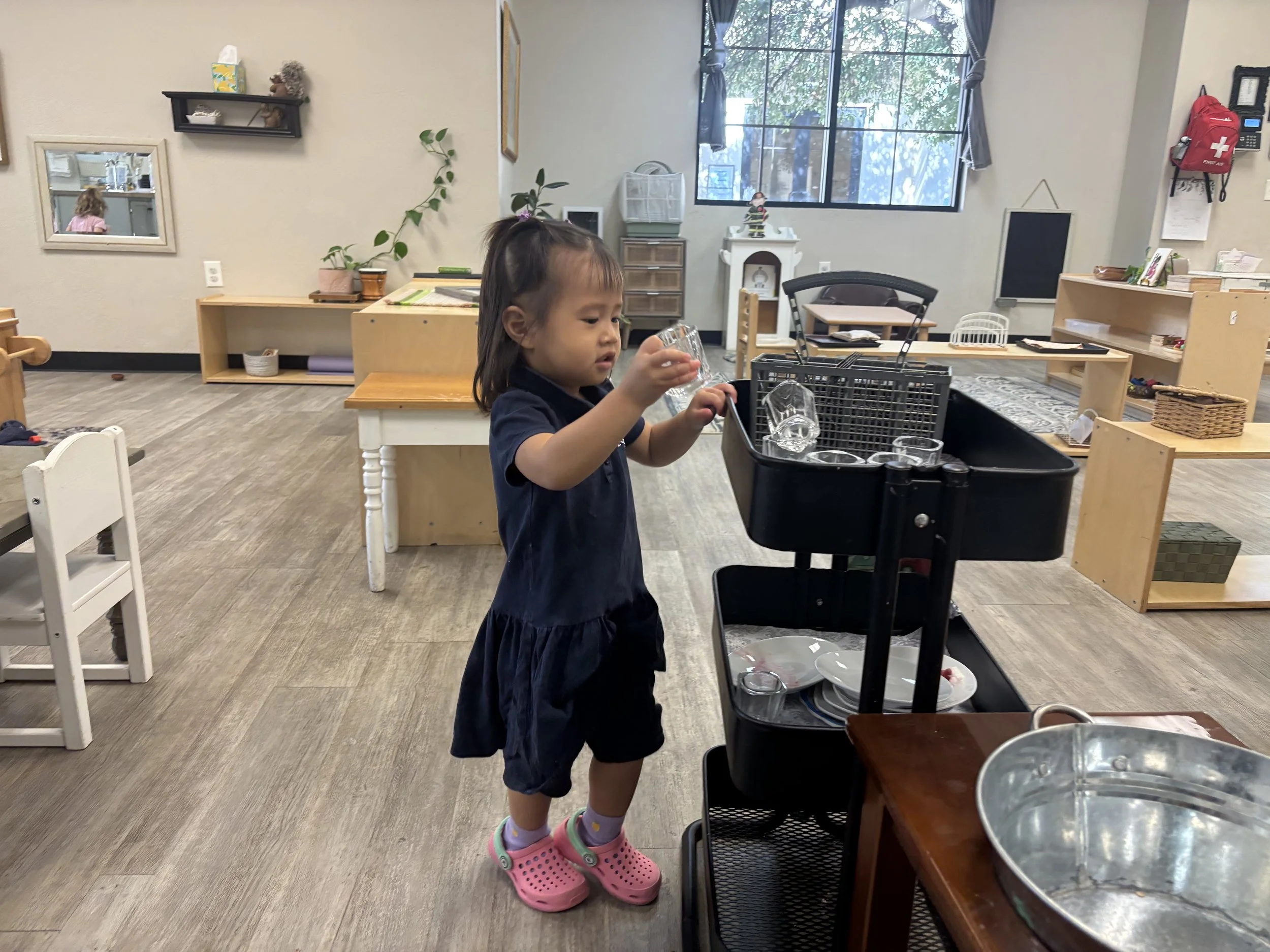 IMG_1385.jpeg