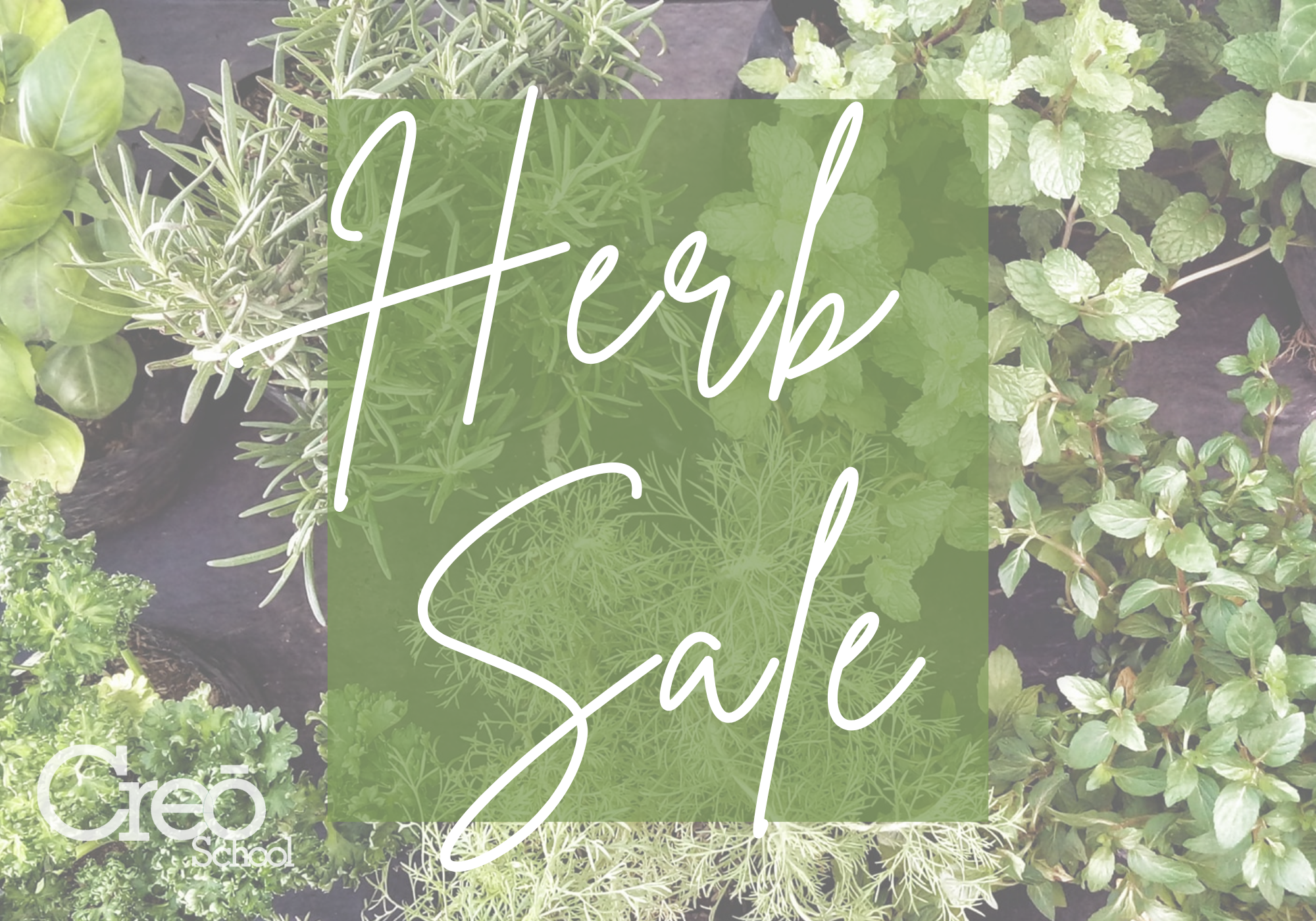 Live Herb Sale