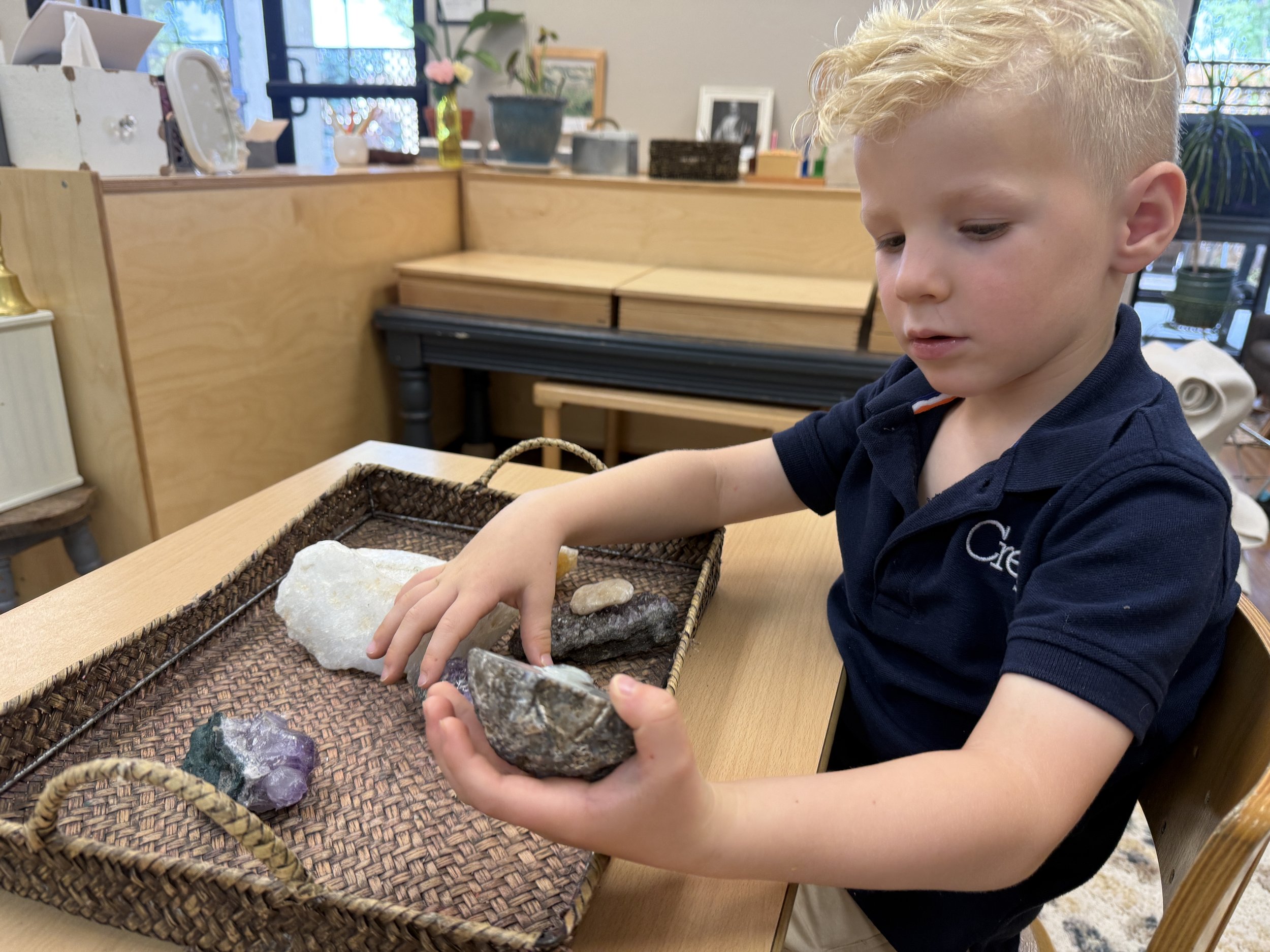 IMG_4251.jpeg