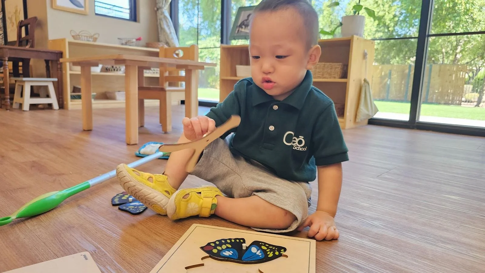 Ian butterfly puzzle.jpg