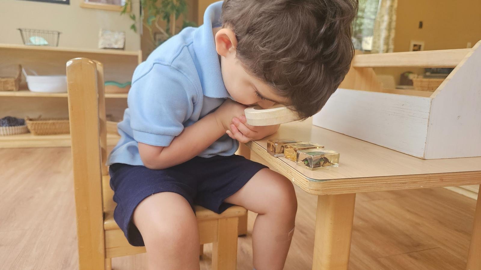 Sebastian looking through magnify glass insects.jpg