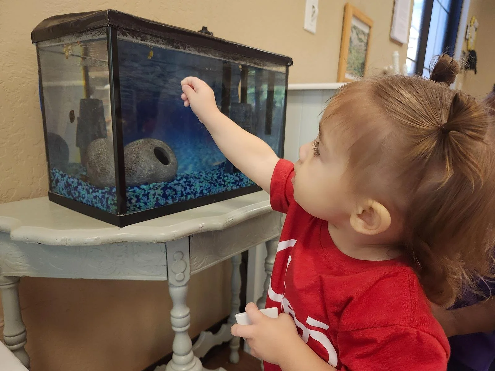 Lily feeding fish.jpg
