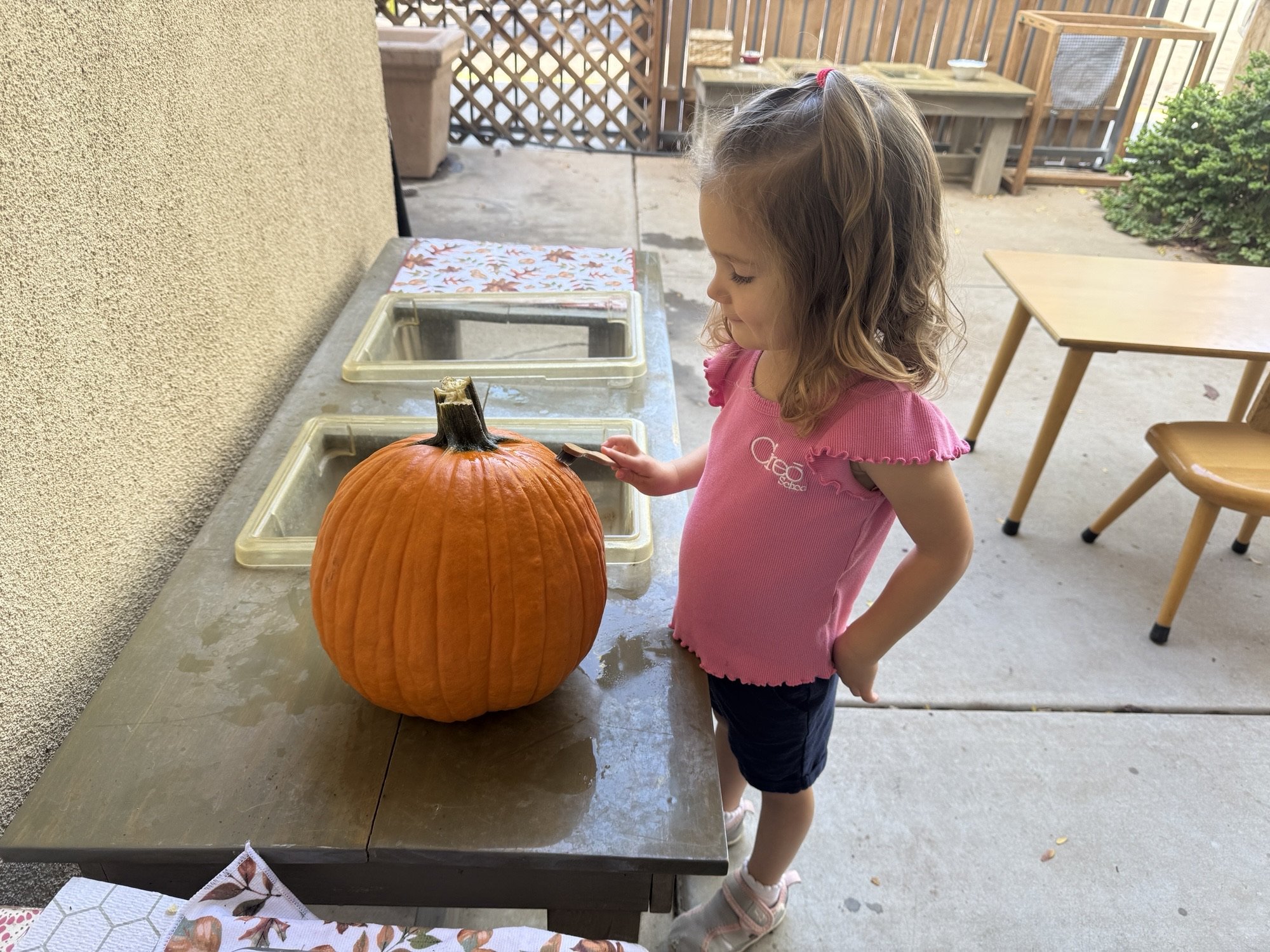 IMG_7049.jpeg