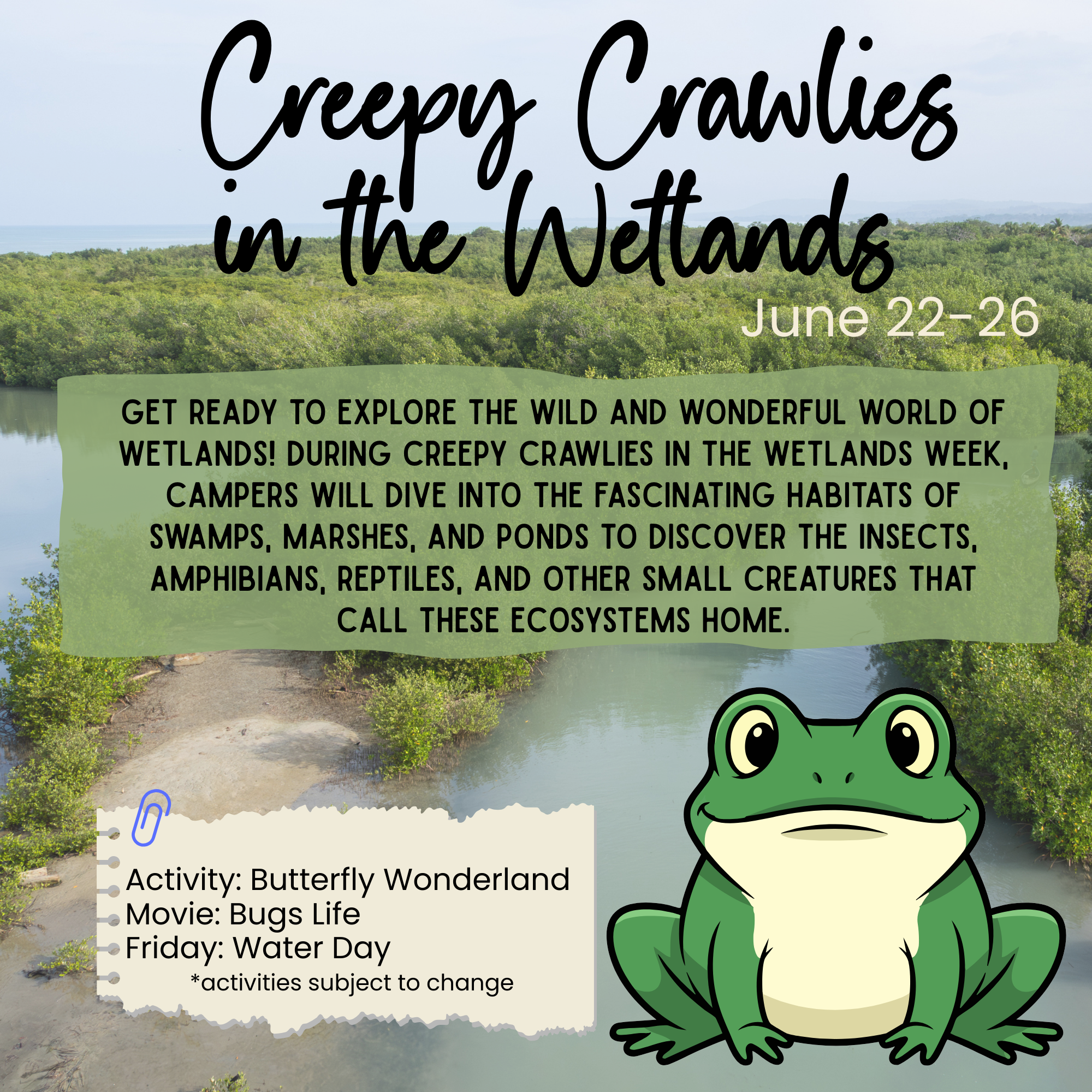 Summer 2026 Flyers  (10).png