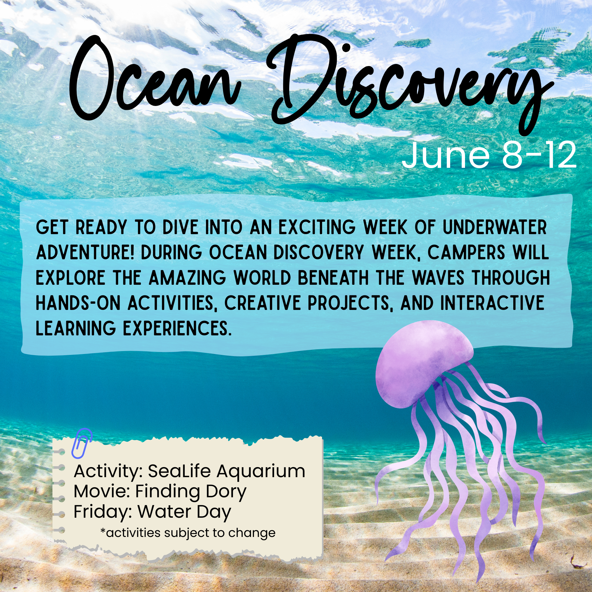 Summer 2026 Flyers (7).png