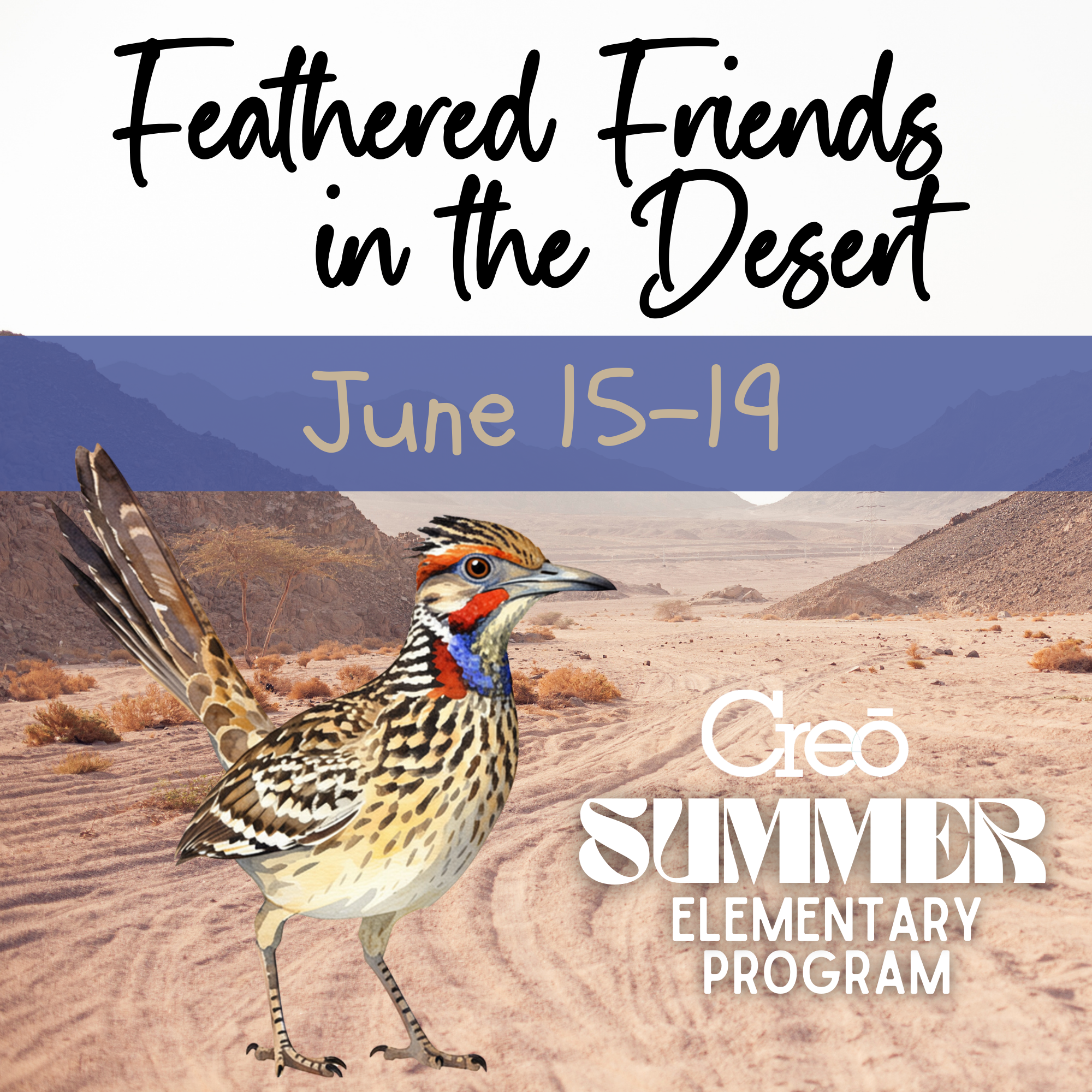 Elementary Summer Camp Week 4: June 15-19 "Feathered Friends in the Desert"