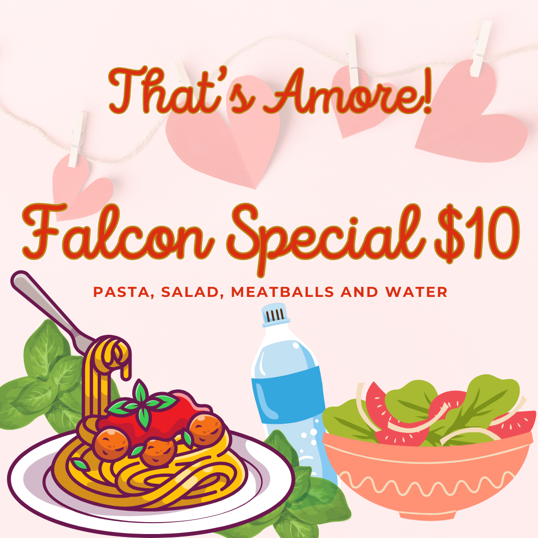 Falcon Special $10.png