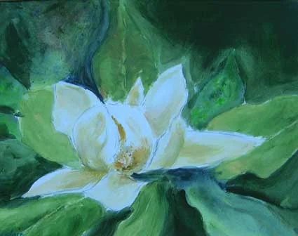 First Magnolia