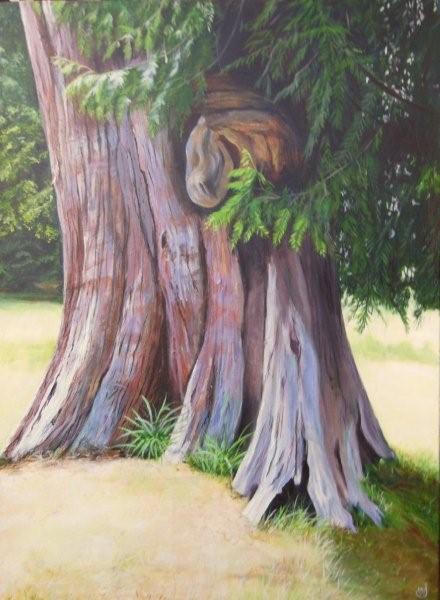 Cedar Spirit
