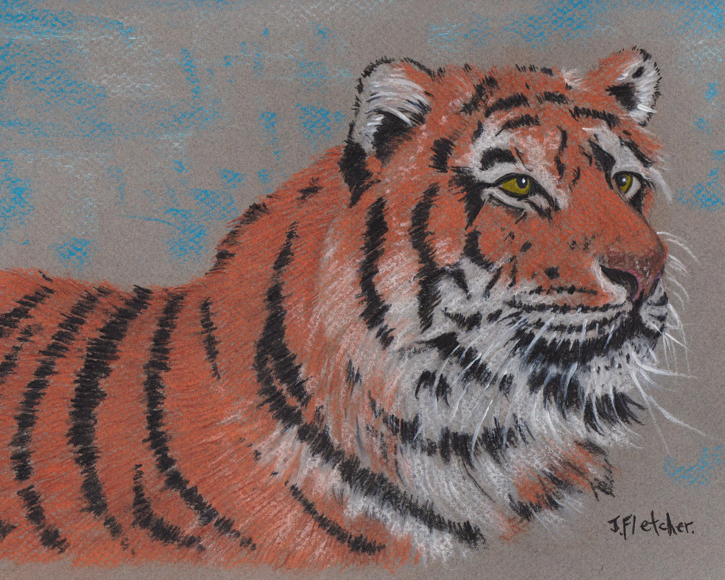 Tiger Tiger