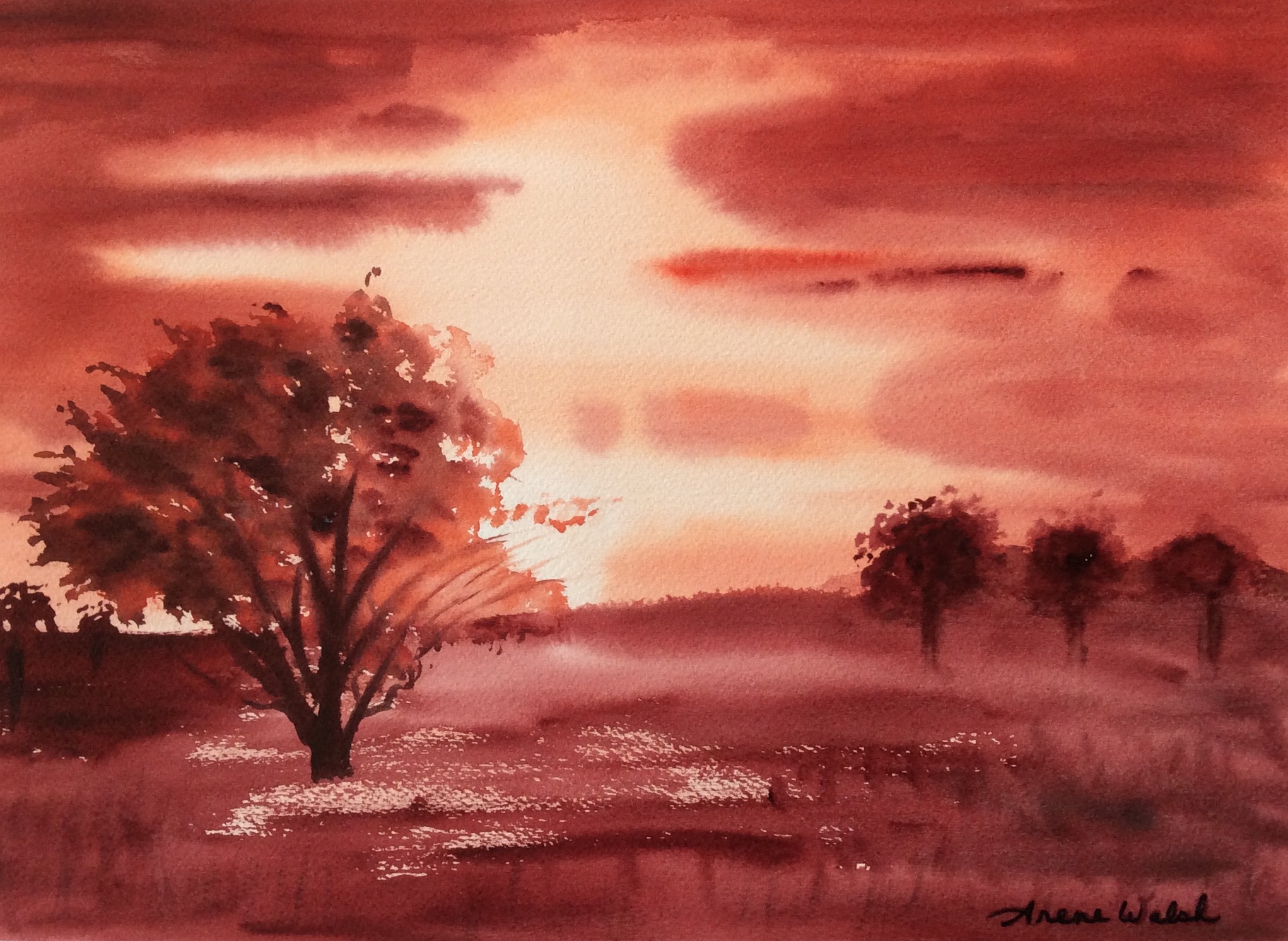 Shades of Red