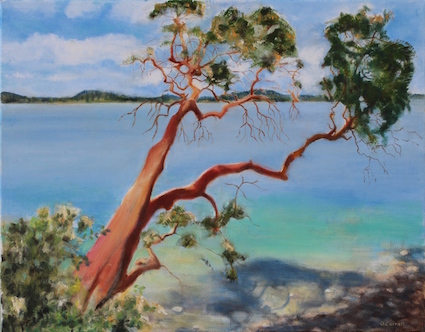 Arbutus Tree