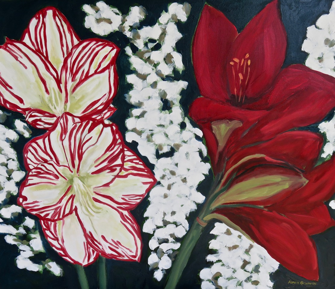 Amaryllis