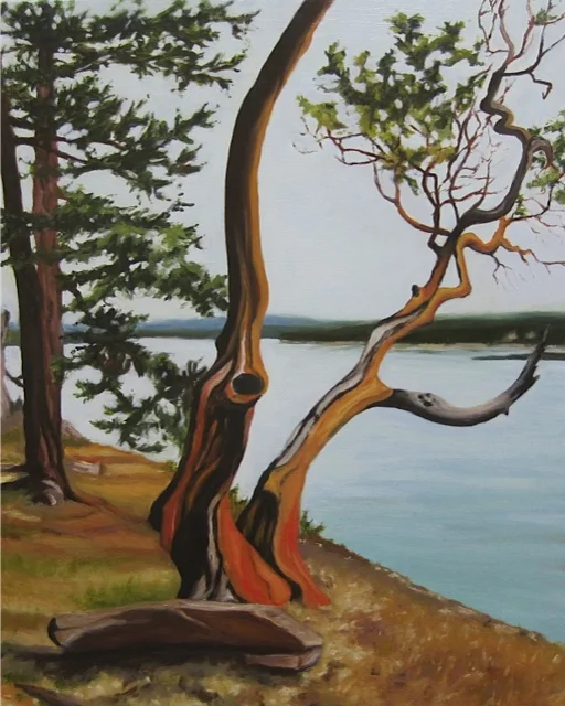 Many Island Arbutus