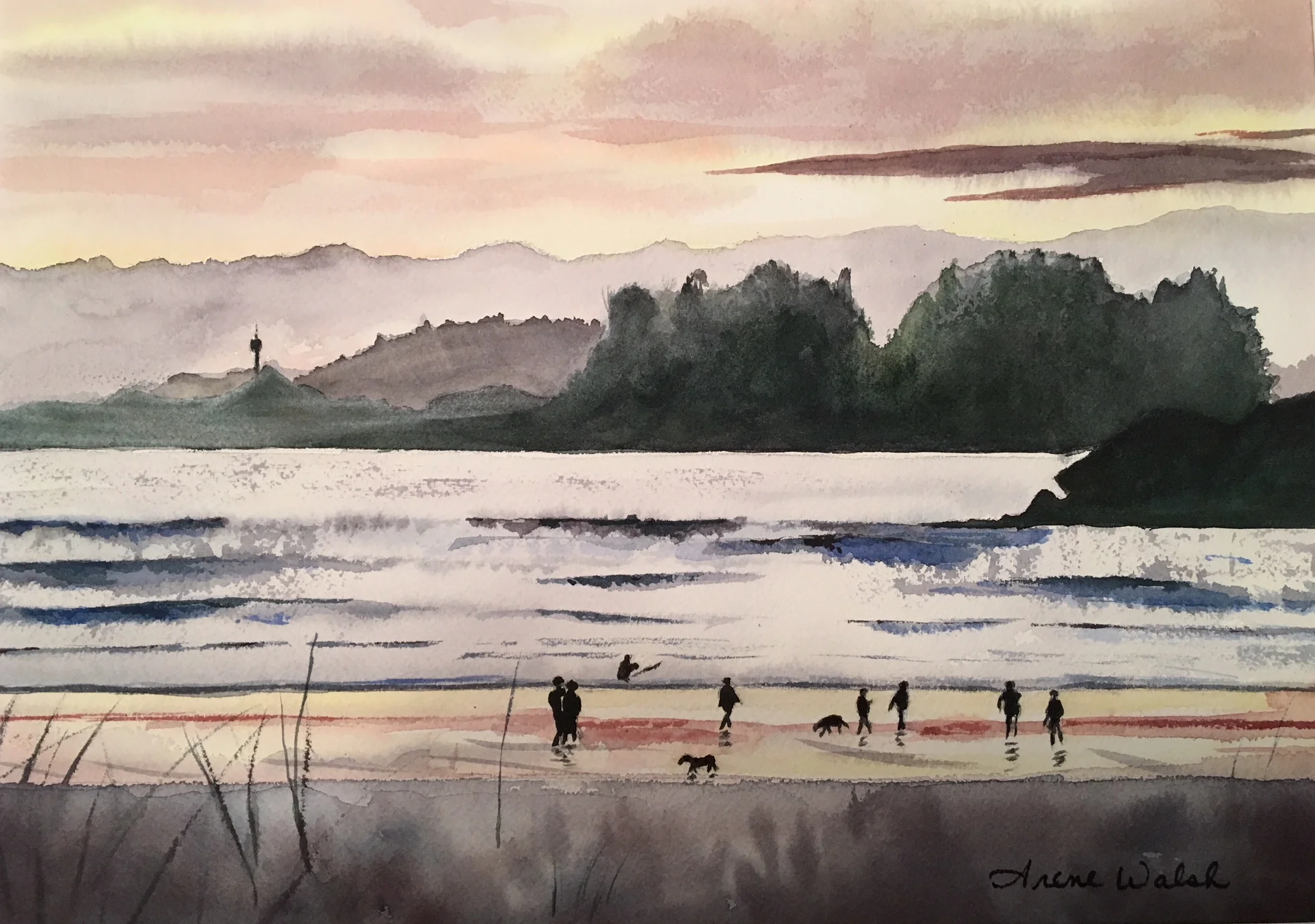 Evening Stroll on Cox Bay