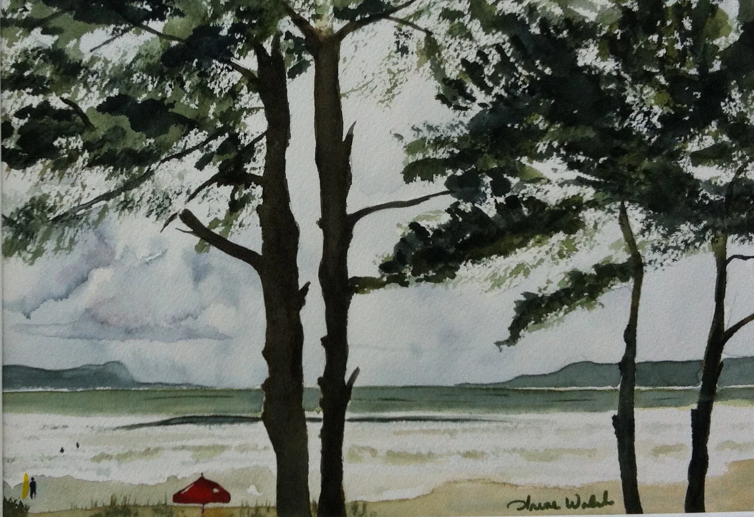 Wind Swept on Cox Bay