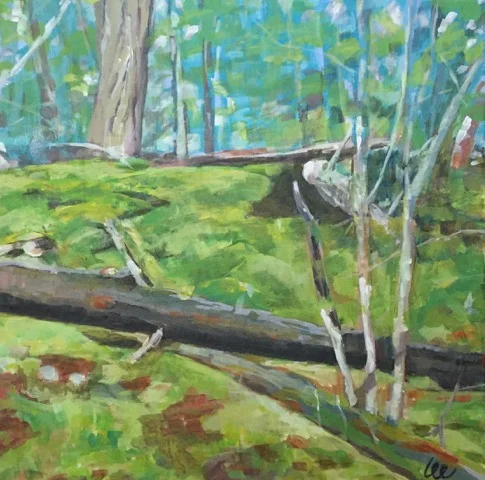 Woods